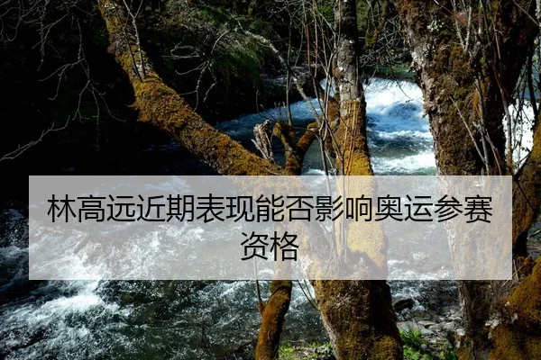 林高远近期表现能否影响奥运参赛资格